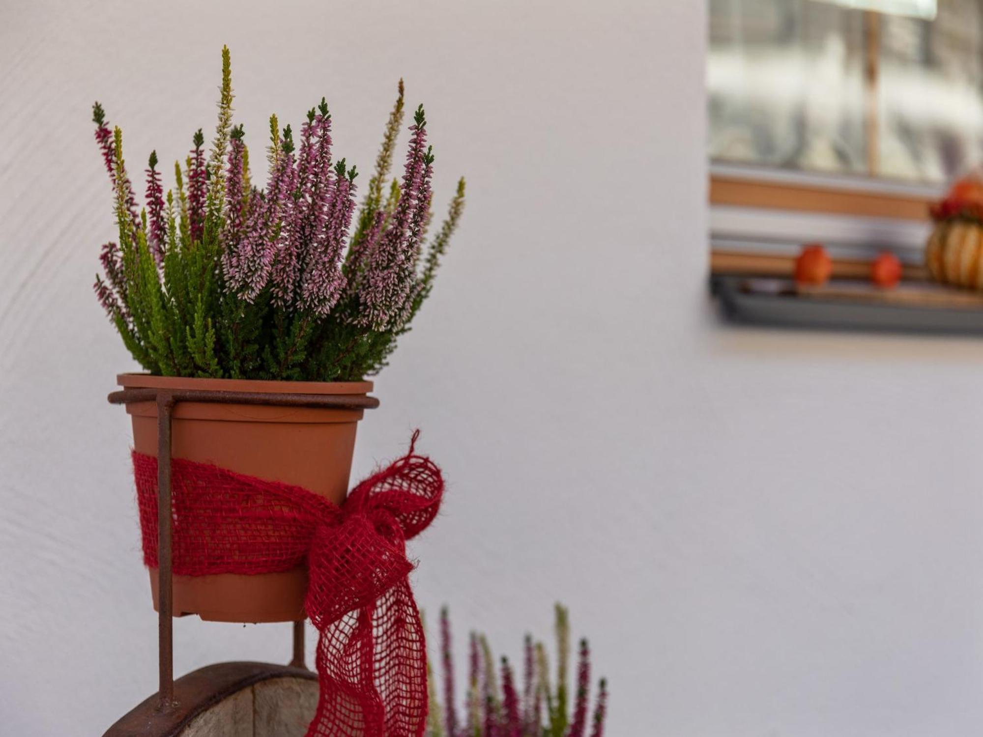 Luxurious Apartment With Sauna In Koenigsleiten วัลด์ อิม พินซ์เกา ภายนอก รูปภาพ